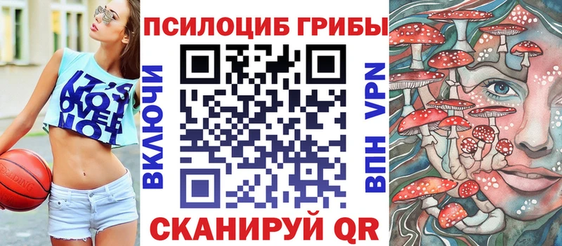 Купить  Смоленск  Галлюциногенные грибы Magic Shrooms 